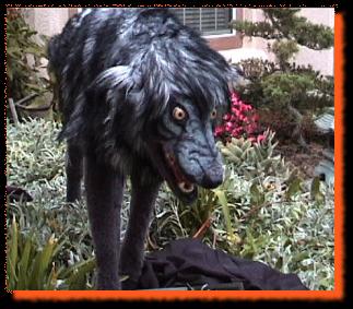 wolfinplace